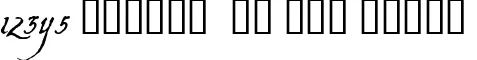 Dynamic Aquiline Font Preview https://safirsoft.com