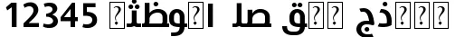 Dynamic Hacen Algeria Bd Font Preview https://safirsoft.com