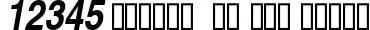 Dynamic Helvetica Narrow Bold Oblique Font Preview https://safirsoft.com