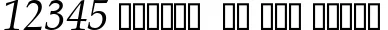 Dynamic Palatino Italic Font Preview https://safirsoft.com