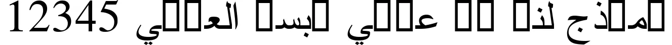 Dynamic Simplified Arabic Font Preview https://safirsoft.com