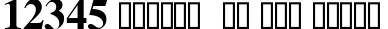 Dynamic Times Bold Font Preview https://safirsoft.com