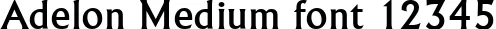 Dynamic Adelon Medium Font Preview https://safirsoft.com