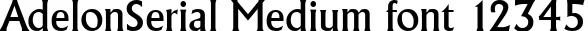 Dynamic AdelonSerial Medium Font Preview https://safirsoft.com