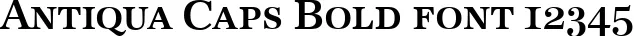 Dynamic Antiqua Caps Bold Font Preview https://safirsoft.com