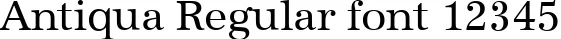 Dynamic Antiqua Regular Font Preview https://safirsoft.com