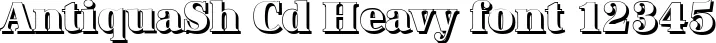 Dynamic AntiquaSh Cd Heavy Font Preview https://safirsoft.com