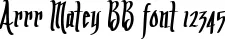 Dynamic Arrr Matey BB Font Preview https://safirsoft.com