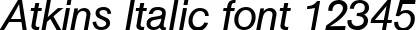 Dynamic Atkins Italic Font Preview https://safirsoft.com
