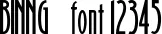 Dynamic BINNG    Font Preview https://safirsoft.com