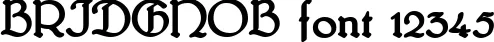 Dynamic BRIDGNOB Font Preview https://safirsoft.com