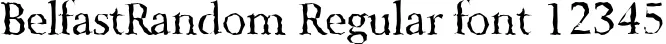 Dynamic BelfastRandom Regular Font Preview https://safirsoft.com