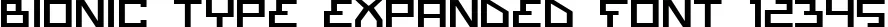 Dynamic Bionic Type Expanded Font Preview https://safirsoft.com