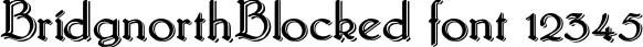 Dynamic BridgnorthBlocked Font Preview https://safirsoft.com