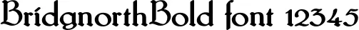 Dynamic BridgnorthBold Font Preview https://safirsoft.com