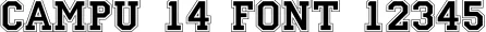 Dynamic CAMPU 14 Font Preview https://safirsoft.com