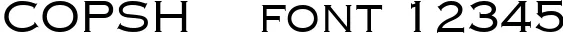 Dynamic COPSH    Font Preview https://safirsoft.com