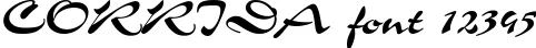Dynamic CORRIDA Font Preview https://safirsoft.com