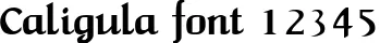 Dynamic Caligula Font Preview https://safirsoft.com