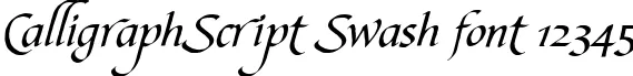 Dynamic CalligraphScript Swash Font Preview https://safirsoft.com