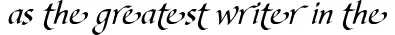 Dynamic CalligraphScript Swash Font Preview https://safirsoft.com