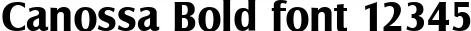 Dynamic Canossa Bold Font Preview https://safirsoft.com