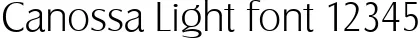 Dynamic Canossa Light Font Preview https://safirsoft.com