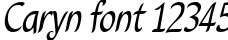 Dynamic Caryn Font Preview https://safirsoft.com