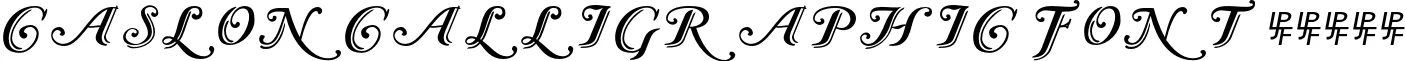Dynamic CaslonCalligraphic Font Preview https://safirsoft.com