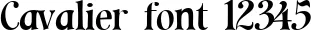 Dynamic Cavalier Font Preview https://safirsoft.com