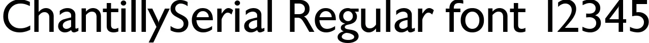Dynamic ChantillySerial Regular Font Preview https://safirsoft.com