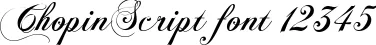 Dynamic ChopinScript Font Preview https://safirsoft.com