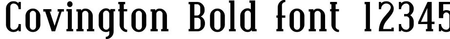 Dynamic Covington Bold Font Preview https://safirsoft.com