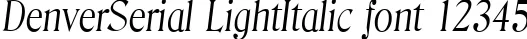 Dynamic DenverSerial LightItalic Font Preview https://safirsoft.com