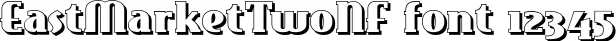 Dynamic EastMarketTwoNF Font Preview https://safirsoft.com