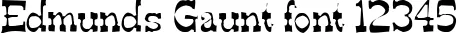 Dynamic Edmunds Gaunt Font Preview https://safirsoft.com