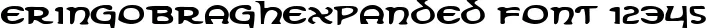 Dynamic ErinGoBraghExpanded Font Preview https://safirsoft.com
