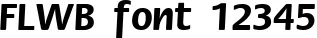 Dynamic FLWB Font Preview https://safirsoft.com
