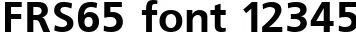 Dynamic FRS65 Font Preview https://safirsoft.com