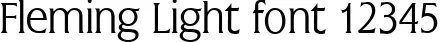 Dynamic Fleming Light Font Preview https://safirsoft.com