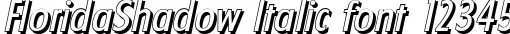 Dynamic FloridaShadow Italic Font Preview https://safirsoft.com