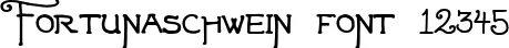 Dynamic Fortunaschwein Font Preview https://safirsoft.com