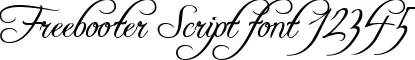 Dynamic Freebooter Script Font Preview https://safirsoft.com