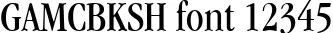 Dynamic GAMCBKSH Font Preview https://safirsoft.com