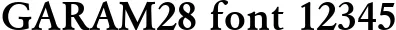 Dynamic GARAM28 Font Preview https://safirsoft.com