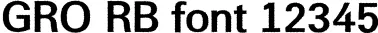 Dynamic GRO RB Font Preview https://safirsoft.com