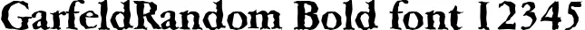 Dynamic GarfeldRandom Bold Font Preview https://safirsoft.com