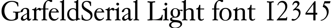 Dynamic GarfeldSerial Light Font Preview https://safirsoft.com