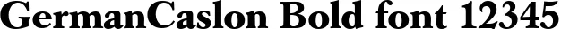 Dynamic GermanCaslon Bold Font Preview https://safirsoft.com