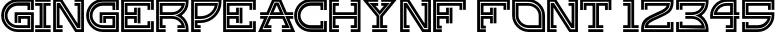 Dynamic GingerPeachyNF Font Preview https://safirsoft.com